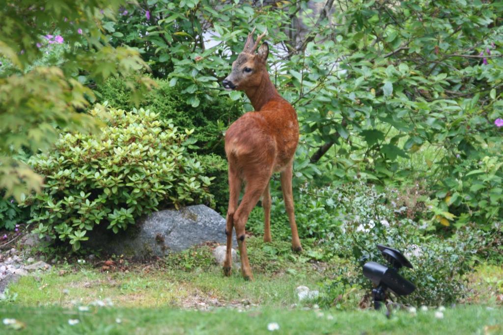 Torrdarach House Bed & Breakfast Pitlochry Luaran gambar